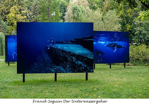 10a Franck Seguin Der Unterwassergeher