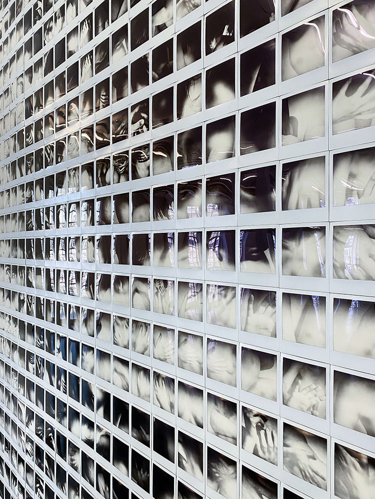 Copyright Antonia Gruber_BIPOLAROID DISORDER_2021.4