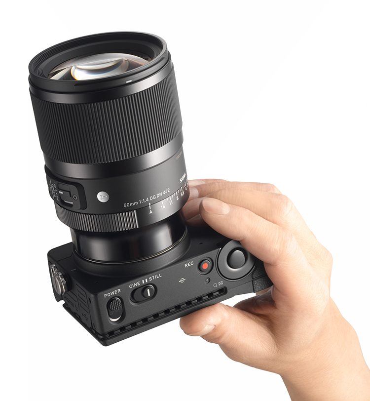 PPhoto_50_14_dgdn_a023_handholding_01 wp