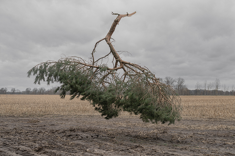 BFF 01_Marvin_Dreblow_FP_22_Naturzustand_16_cm_300dpi