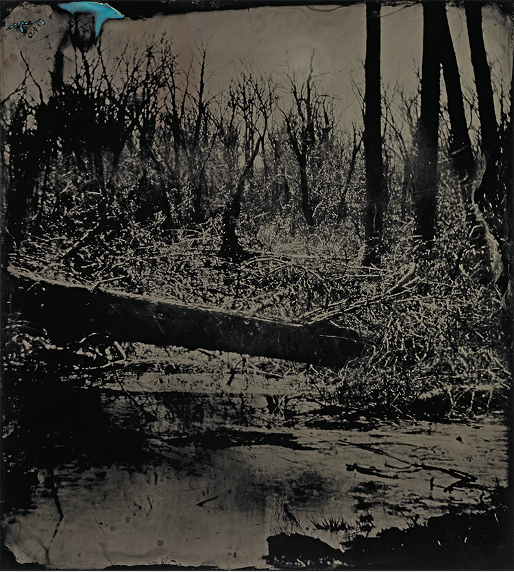 fff_exh2023_PrixPictetFire_Mann_Blackwater5_2008-2012_rgb-10×15-300dpi