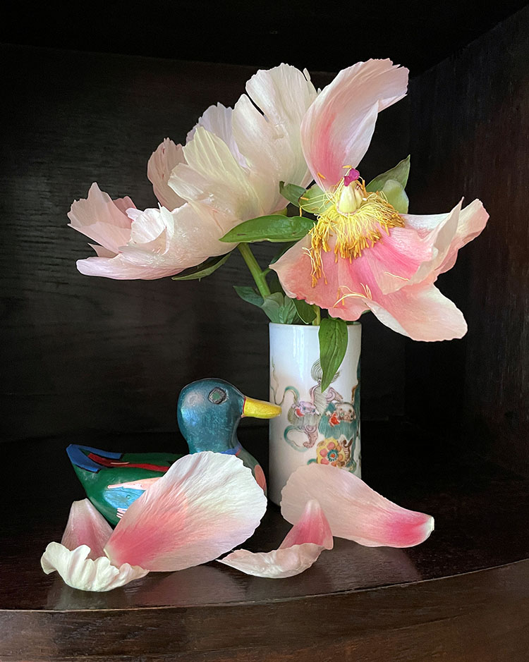 Die Entouragge des Pinselbechers Foto Saine Jörg