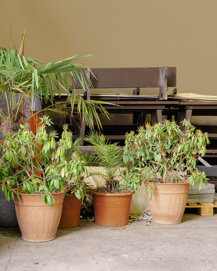 HAUSMEISTER_INNEN © Frederik Busch HAUSMEISTER_INNEN © Frederik Busch