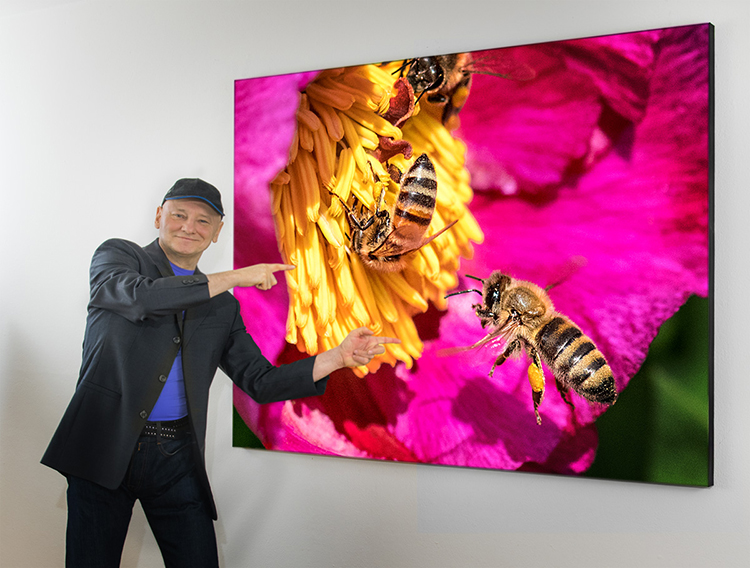 NAH – kleine Natur riesengroß (Vortrag) ALLE RECHTE BEIM