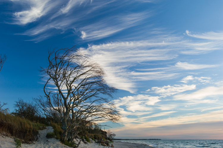 Norbert 001_L1001231_NRosing