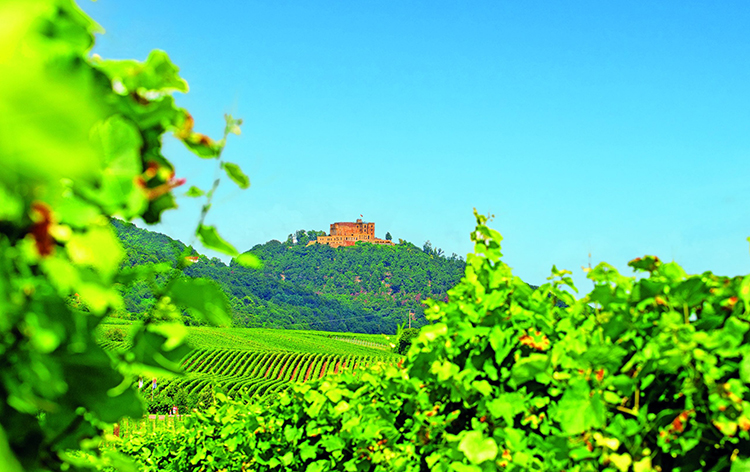 trend Marcel@166479303_HambacherSchloss-scaled