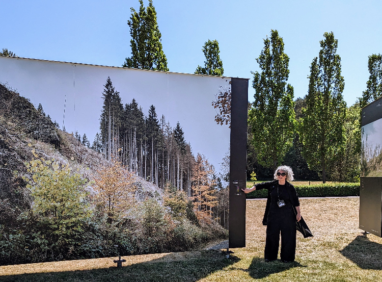 Kuratorin Edda Fahrenhorst vor einem Bilder der Ausstellung "Waldschadensbericht" von Peter Bialobrzeski