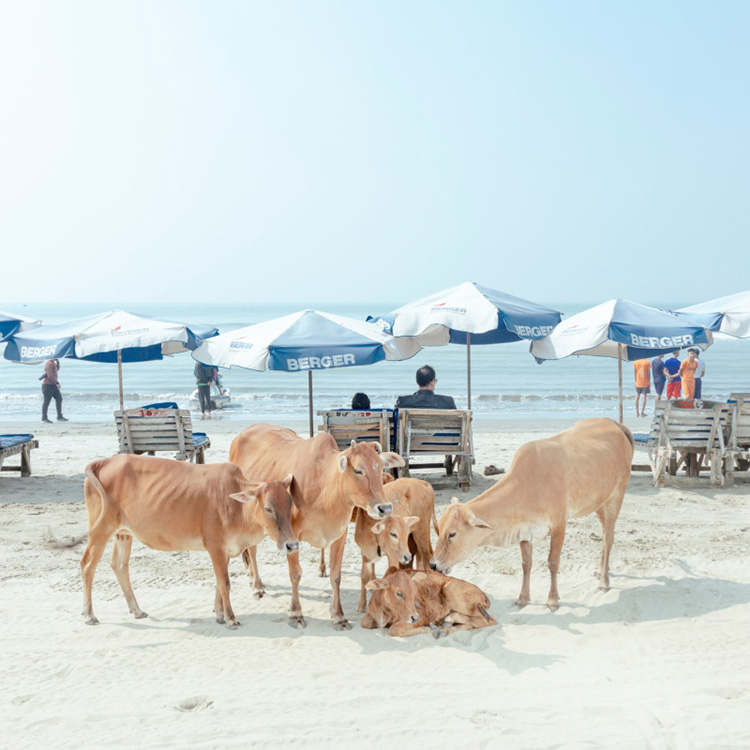 Ismail Ferdous Sea Beach
