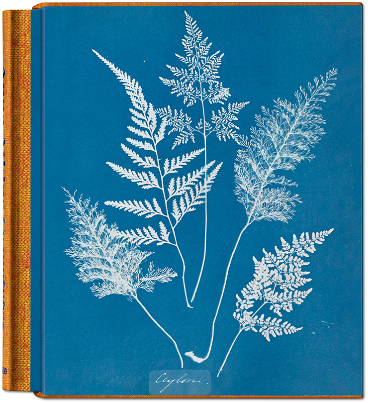 Anna Atkins. Cyanotypes Schober: Ceylon Cyanotypes of British and Foereign Fern, 1853 Copyright Taschen/ j. Paul Getty Museum Los Angeles