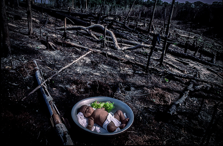 copyright Micha Ende