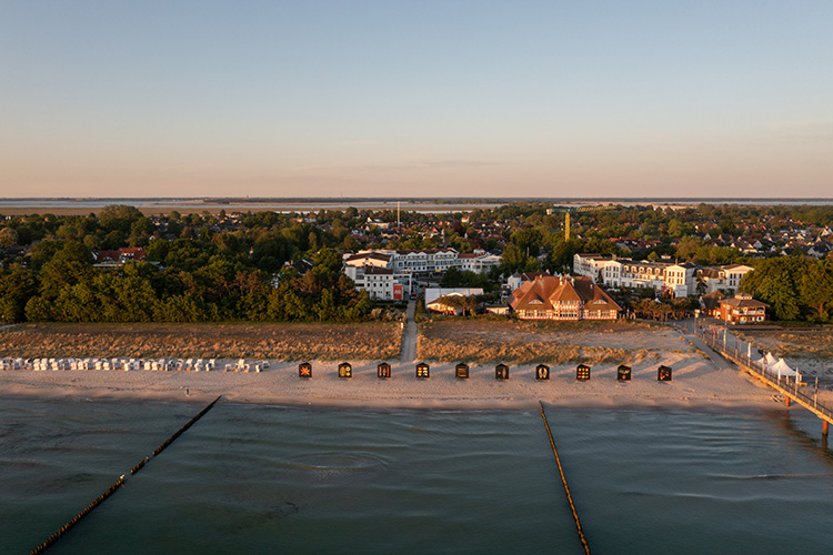 »horizonte zingst« 2023 – Ausstellung Strand „Flora Obscura“ Jennifer Markwirth