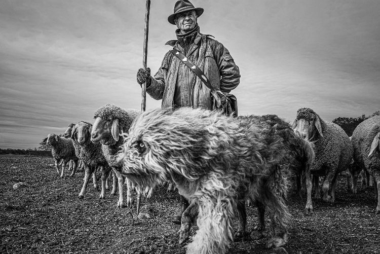 JP23_Hüteland_Leica_Galerie_Zingst©Martin_Krueger