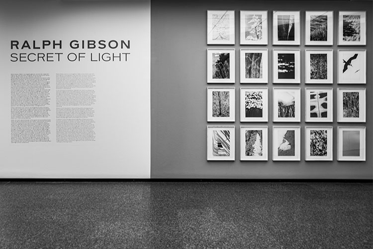 Eingang zur Ralph Gibson Ausstellung H1040931