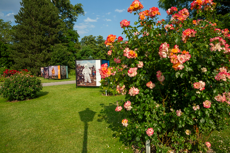 230618_festivalimpressionen_0189