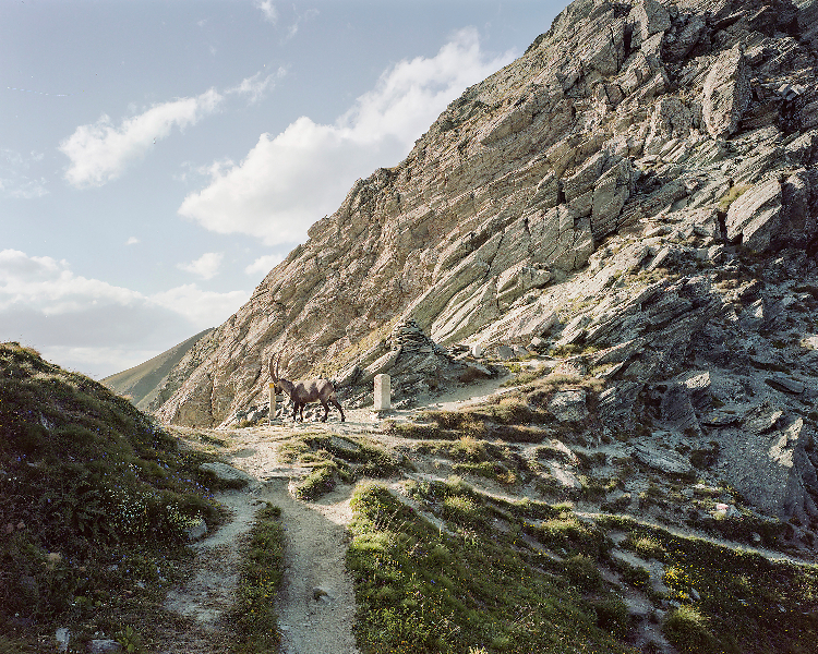 FRA-ITA_053 TAILLEZ 300DPI