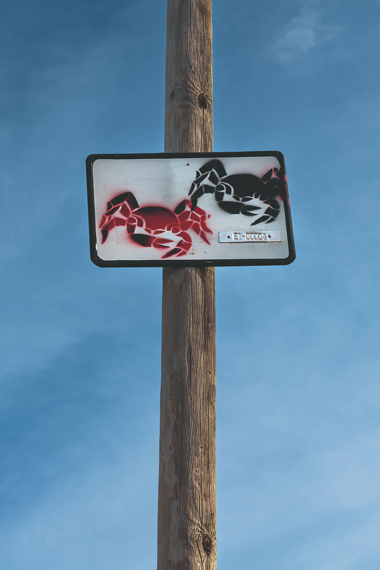 Fade Abb. 05_Eva Maria Fahrner Tutsek_Venda Pou des Lleo