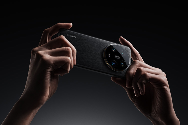 Black-hand hold-1 wp