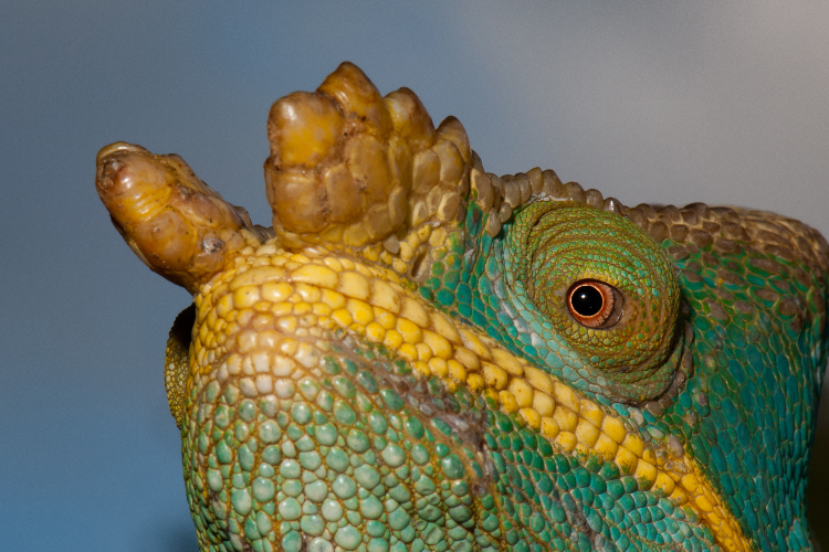 IFN Vortrag-7_Hilgartner-1-