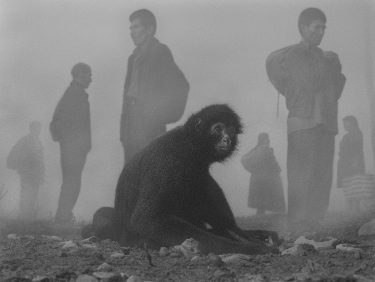 Nick Pimienta-and-People-in-Fog_,-Bolivia,-2022