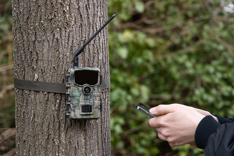 20188_Wildkamera_4G_Mood_10 wp