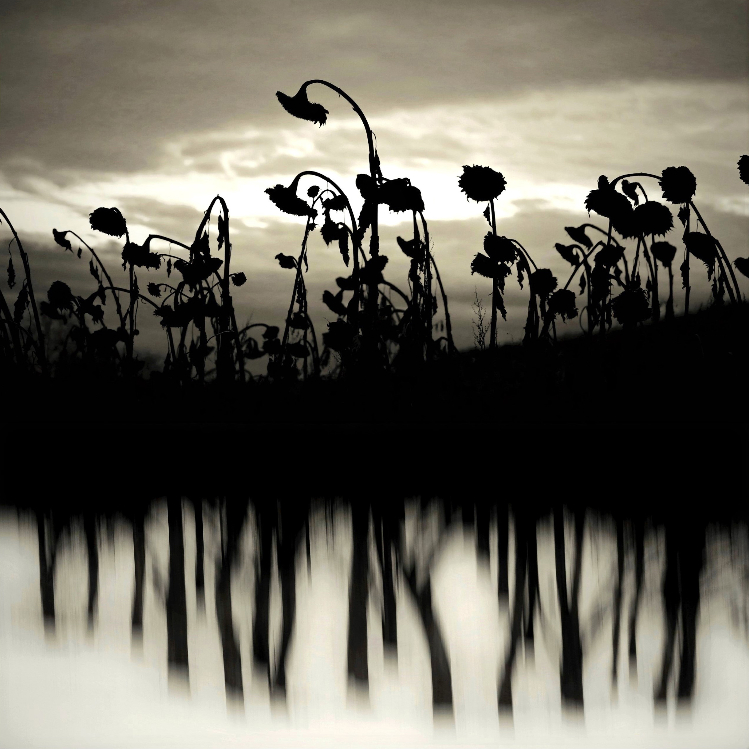 H_1_Soulscapes_Andrea_Christl bearbeitet