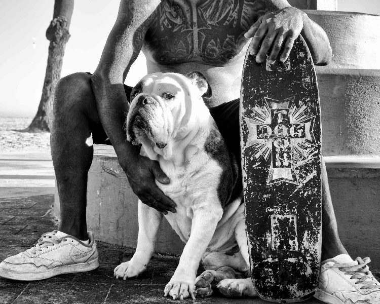 saguy_dogtown_08_RGB