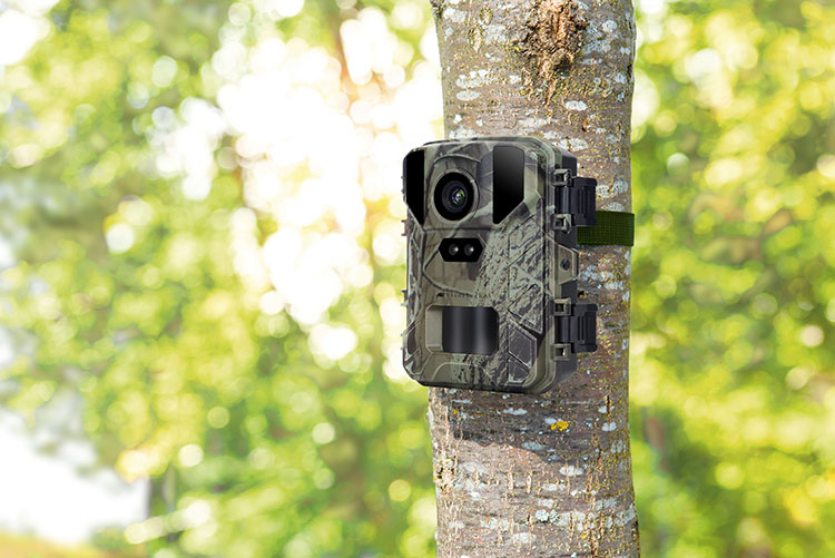 Wildkamera mit 50 MP, interpolierter 4K-Auflösung und No-Glow-IRs