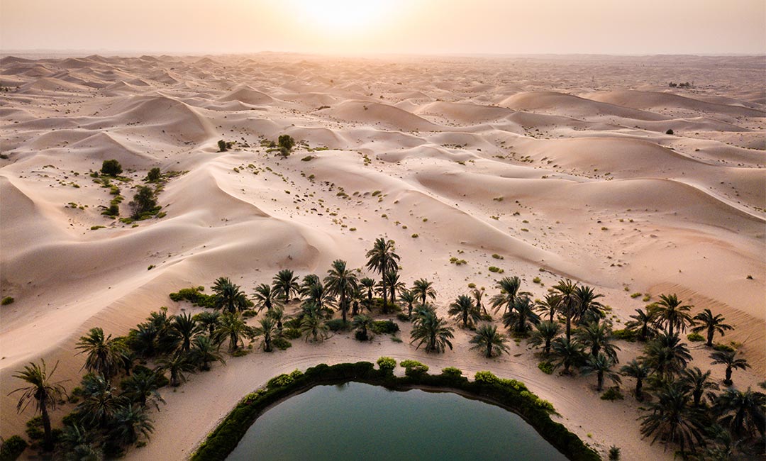 Arabien-Jäkel-Pungs-04