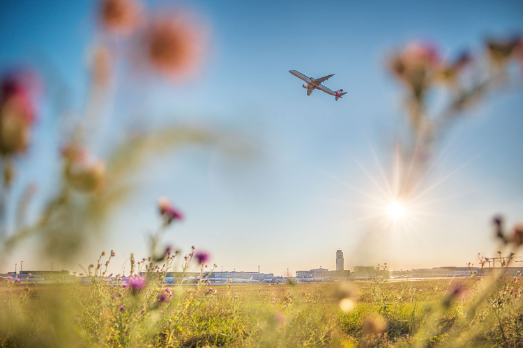 b191f0f3-81c1-9846-cc88-4a66f9cd50ac