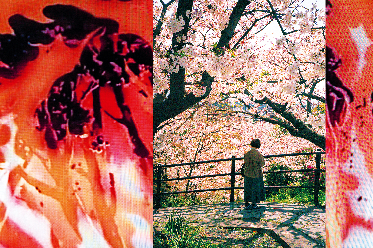 Kehrer 08_alexandre morvan_rgb