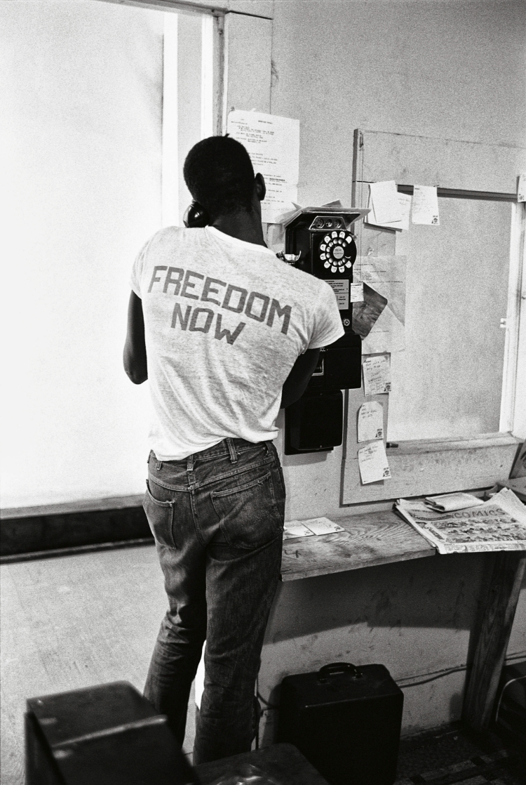 Schapiro – Freedom Now