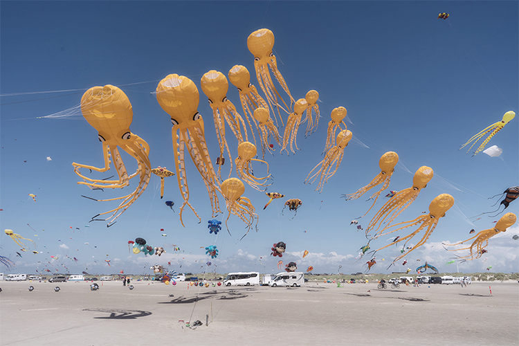 3197_8749_SussiCharlotteAlminde_Denmark_Open_Object_2025 wp