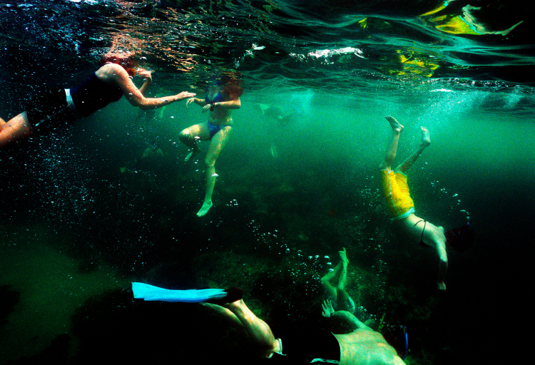 Narelle_Autio_11480-2004CL08