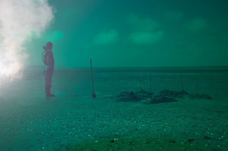 Über den Einfluss von Mensch und Wissenschaft auf die Natur berichter Alice Pallot mit ihren Bildern Über den Einfluss von Mensch und Wissenschaft auf die Natur berichter Alice Pallot mit ihren Bildern