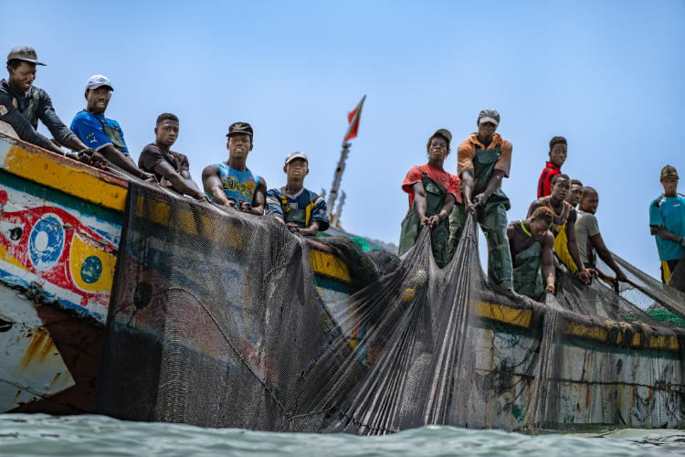 Küstenfischer Senegal. Fischer holen von einem großen Fischerboot aus das Netz an Deck. Die größeren Fischerboote fahren weiter auf das Meer hinaus und haben eine 18-köpfige Besatzung. Nur weiter draußen auf See sind die Fänge noch einigermaßen gut.