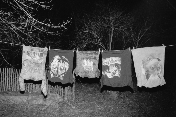 Maya Vieth, Während wir schlafen, ziehen Wölfe um die Häuser, 2023 Copyright: © Maya Vieth