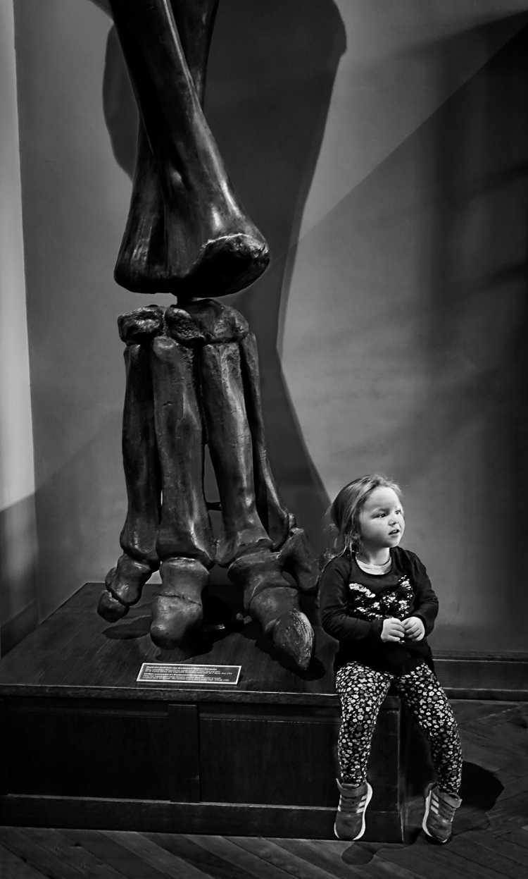 Foto Erich Hörtnagl