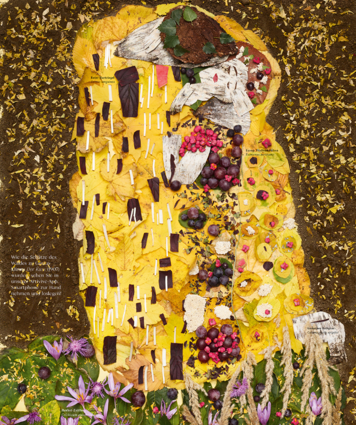 Bundesforste Kalender pia fin Bundesforste Kalender pia fin