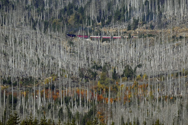 Das Siegerbild "Lichtblick" von Matthias Schrader
