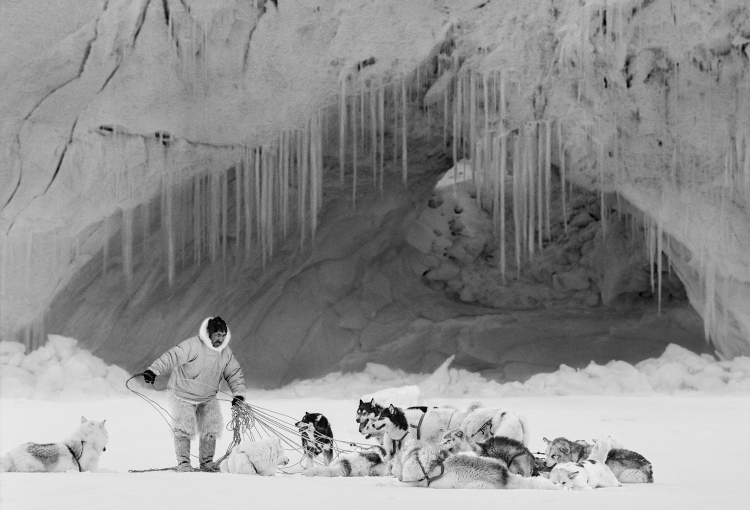 04_RAX_Arctic Heroes