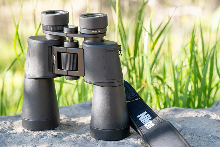 JD_P_ACTION_PBS_01 wp