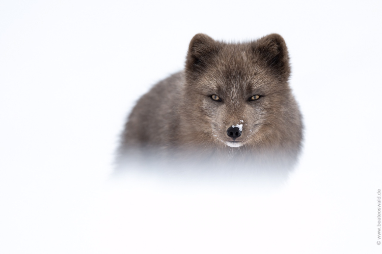 20220319-BeateOswald