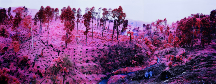 mosse_if-i-ran-the-zoo_th_23cm