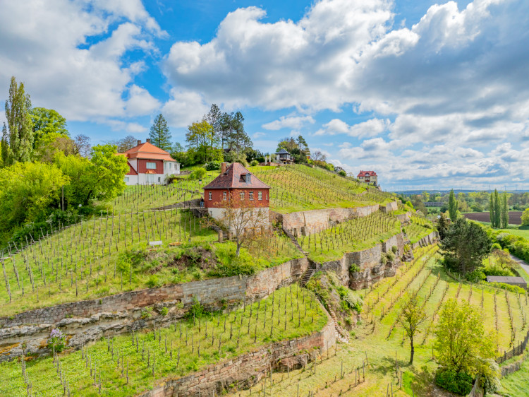 20240527_Naumburg_KlingerWeinberg_c_sut_FalkoMatte-10_DxO