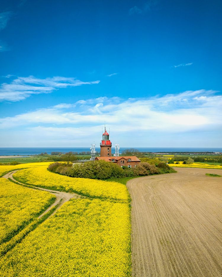 Rapsblüte 2025 © Eugen Stark