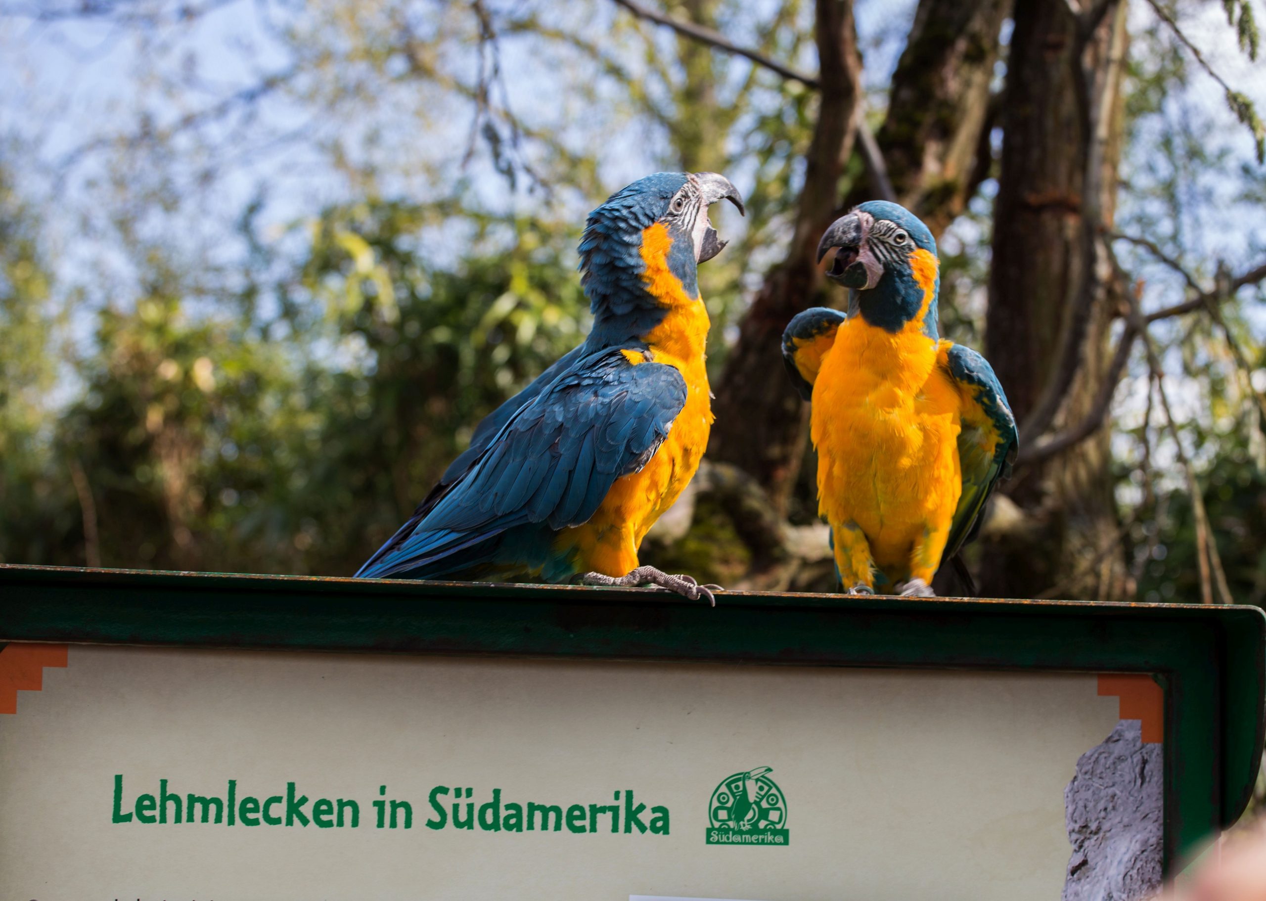 Zoo Leipzig – Vogelwelten – Foto Andreas Schmidt wp